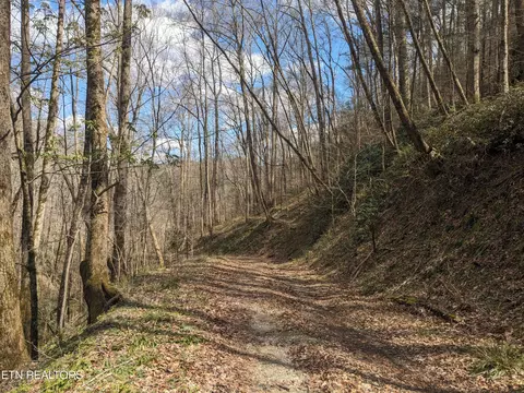 Lot 2 Briar Branch Rd, Townsend, TN 37882