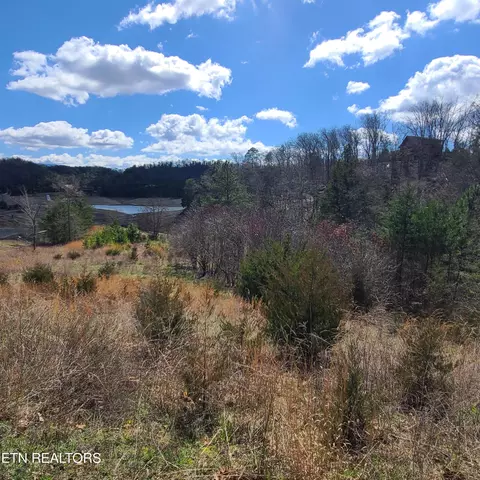 Lot 24 Emerald Pointe Blvd, Dandridge, TN 37725