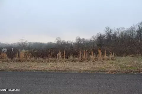 Foxglen Lane, Andersonville, TN 37705