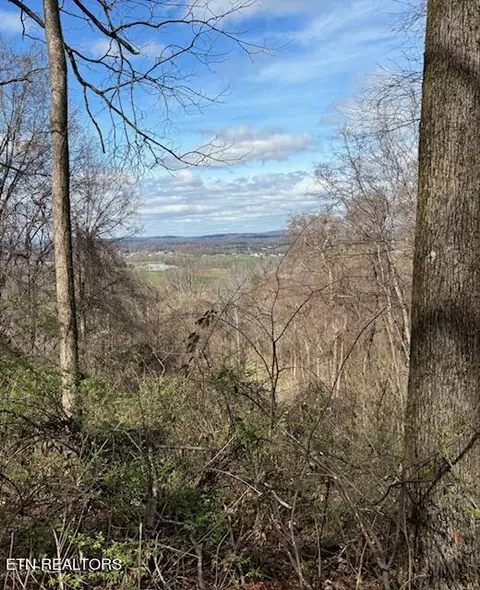 Red Bird Lane, Walland, TN 37886