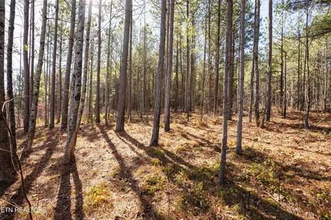 Bowater Rd, Deer Lodge, TN 37726 photo 41