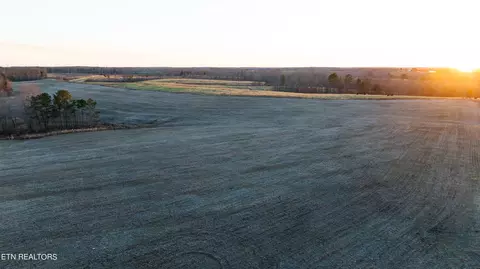 Bowater Rd, Deer Lodge, TN 37726 photo 8