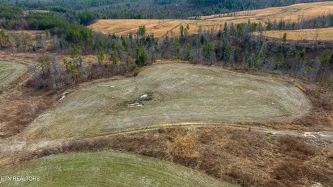 Bowater Rd, Deer Lodge, TN 37726 photo 50