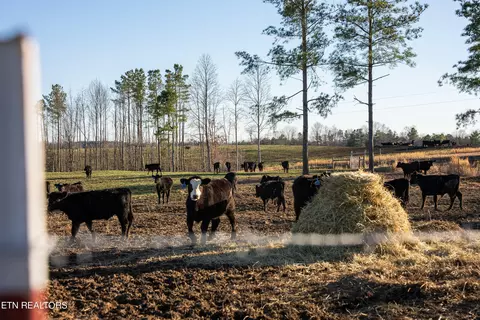 Bowater Rd, Deer Lodge, TN 37726 photo 45