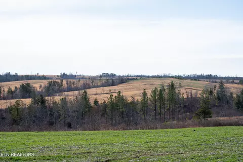 Bowater Rd, Deer Lodge, TN 37726 photo 11