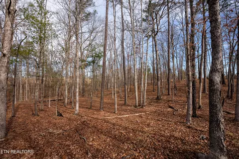 Bowater Rd, Deer Lodge, TN 37726 photo 40