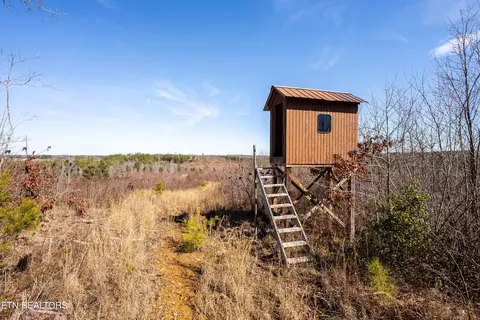 Bowater Rd, Deer Lodge, TN 37726 photo 17