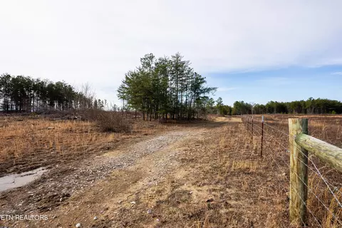 Bowater Rd, Deer Lodge, TN 37726 photo 16