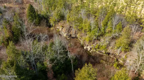 Bowater Rd, Deer Lodge, TN 37726 photo 54