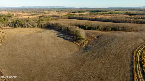 Bowater Rd, Deer Lodge, TN 37726 photo 5