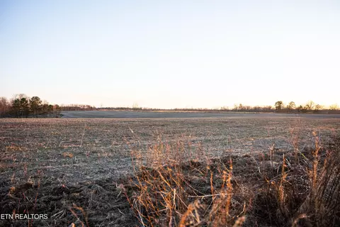 Bowater Rd, Deer Lodge, TN 37726 photo 20