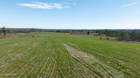 Bowater Rd, Deer Lodge, TN 37726 photo 49