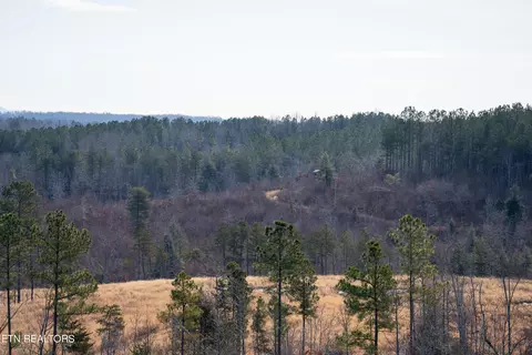 Bowater Rd, Deer Lodge, TN 37726 photo 23