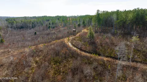 Bowater Rd, Deer Lodge, TN 37726 photo 55