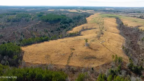 Bowater Rd, Deer Lodge, TN 37726 photo 7