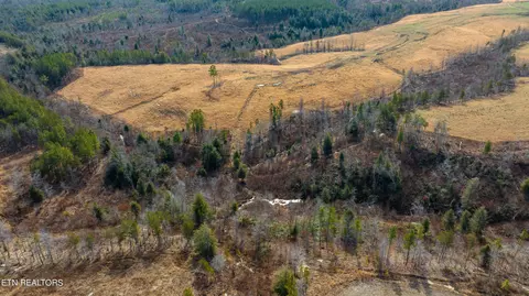 Bowater Rd, Deer Lodge, TN 37726 photo 51