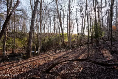 Bowater Rd, Deer Lodge, TN 37726 photo 28