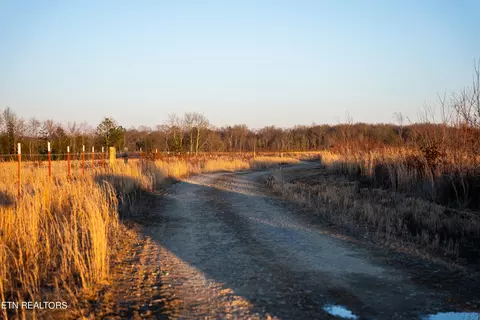 Bowater Rd, Deer Lodge, TN 37726 photo 19