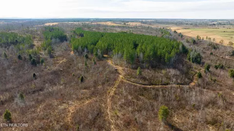 Bowater Rd, Deer Lodge, TN 37726 photo 53