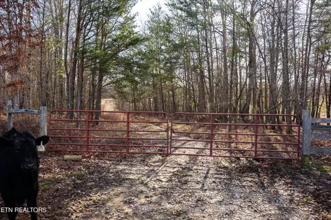 Bowater Rd, Deer Lodge, TN 37726 photo 31