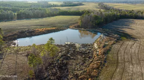Bowater Rd, Deer Lodge, TN 37726 photo 3