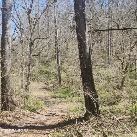 Lot 1 Mill Pond Hollow Rd, Maynardville, TN 37807