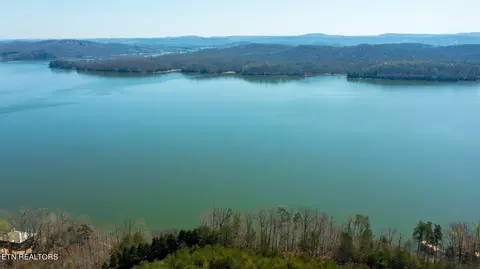 126 Thief Neck Drive, Rockwood, TN 37854
