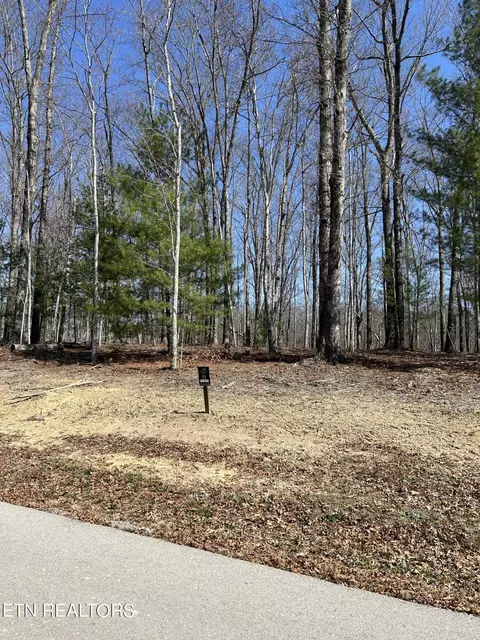 Falls Lane, Oneida, TN 37841