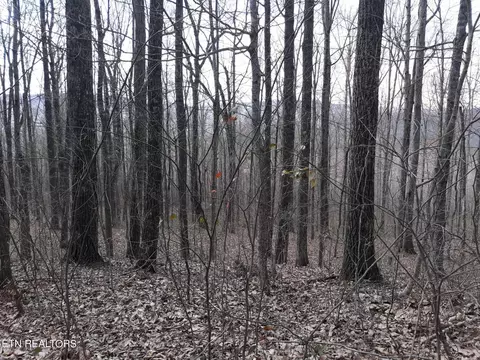 3051 Tomahawk Rd, Jamestown, TN 38556