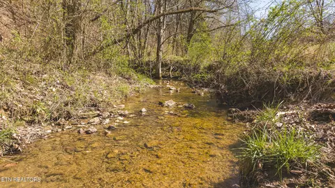 15 65 Acre Willis Chapel Rd, Kyles Ford, TN 37765