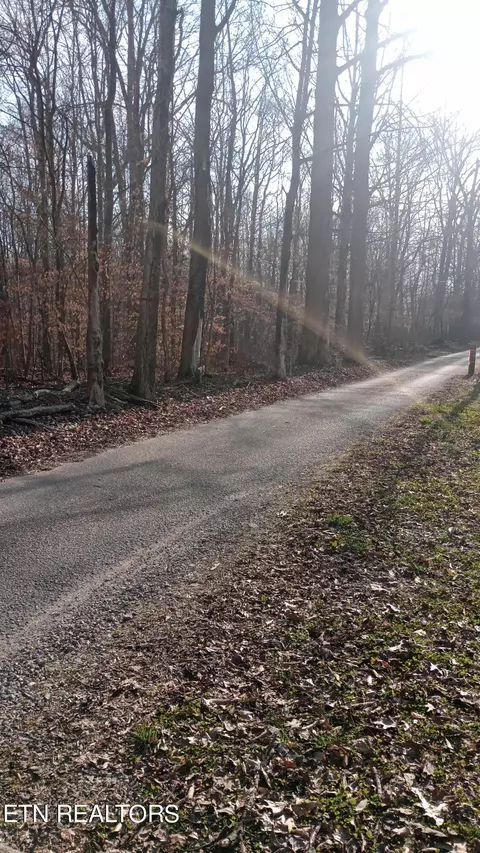 Carl Griffith Rd, Robbins, TN 37852