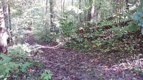 Hiwassee View Drive, Jacksboro, TN 37757