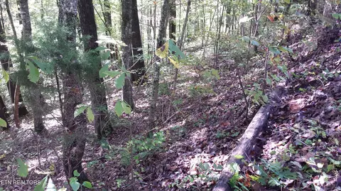 Hiwassee View Drive, Jacksboro, TN 37757