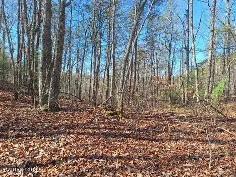 395 Cooper Road, Vonore, TN 37885