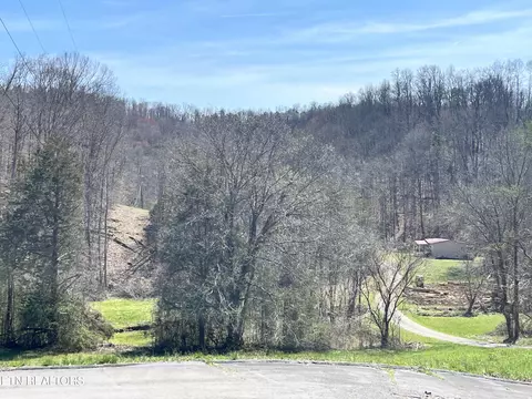 321 Weaver Ln, Luttrell, TN 37779