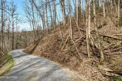 Lot 345a Lamons Loop, Sevierville, TN 37876