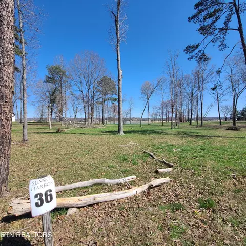 lot36 Waterview Ln, Dandridge, TN 37725