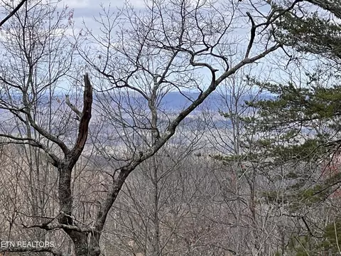 Hardwood Hollow Way, Seymour, TN 37865