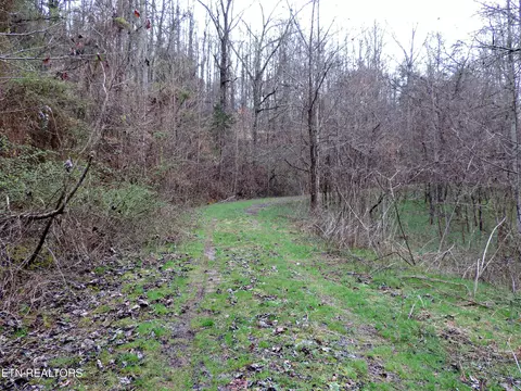 Lot 10 Hickory Springs Rd, Washburn, TN 37888