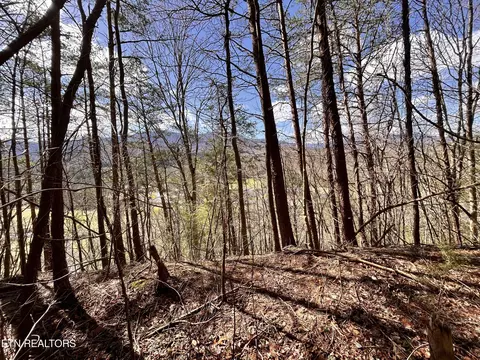 Castle Road, Gatlinburg, TN 37738