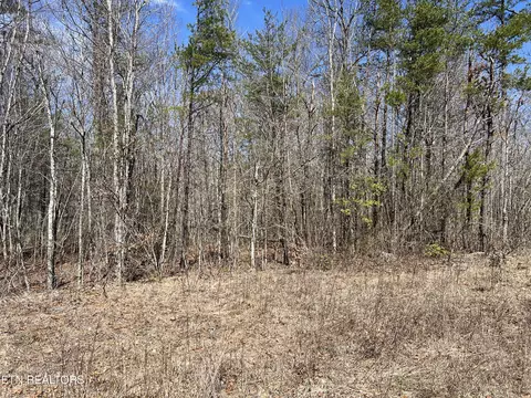 17 Pine Breeze Dr, Monterey, TN 38574