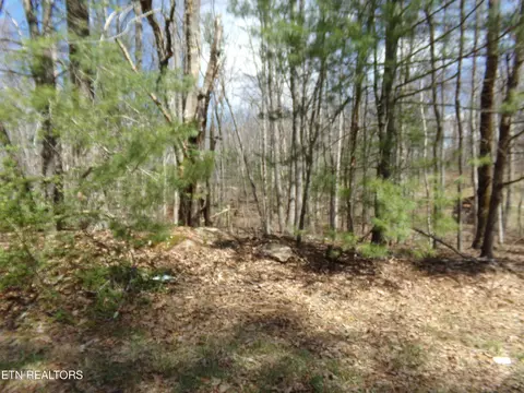 244 Retreat Dr, Crossville, TN 38572
