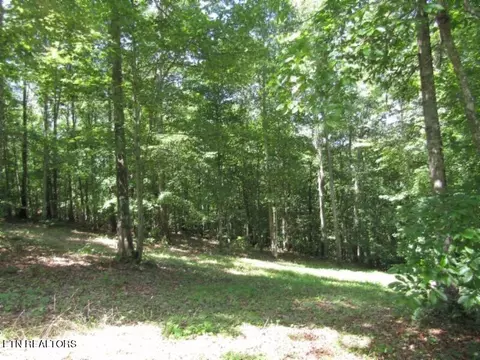 lot1 Western Way, Hilham, TN 38568