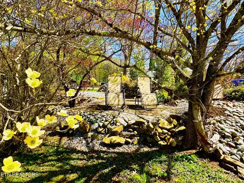 Lot 173 Highway 73, Townsend, TN 37882