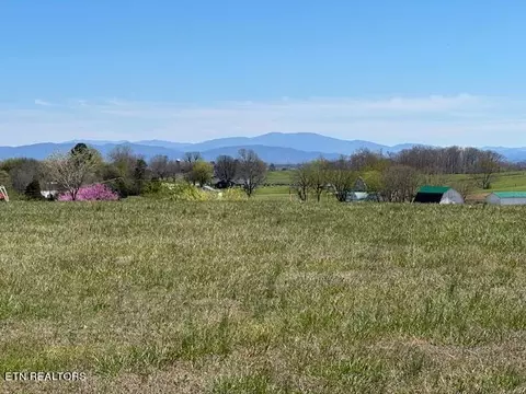 Candi Lane, Madisonville, TN 37354