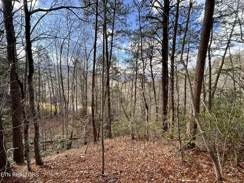 2 Tracts Deer Path Ln, Gatlinburg, TN 37738