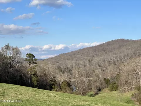 Bob Wright Rd, Maynardville, TN 37807 photo 2