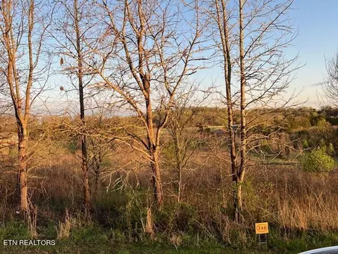 Water View Drive, Rockwood, TN 37854