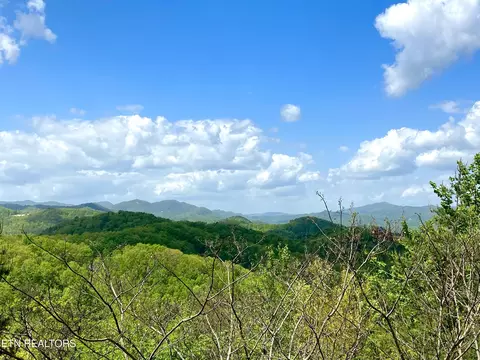 Falcon View Way, Sevierville, TN 37862