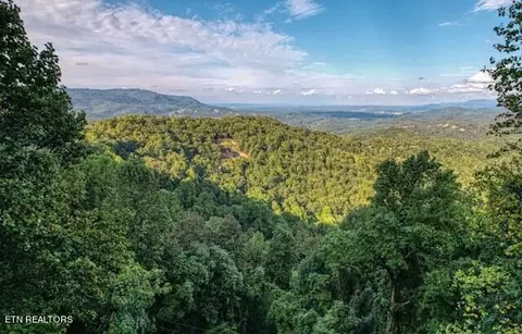 - Overholt Tr, Sevierville, TN 37862